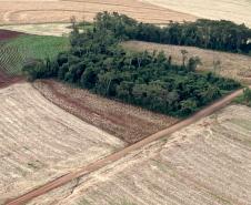 Operação do IAT identifica 17 hectares de desmatamento ilegal na região Oeste