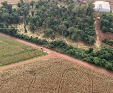 Operação do IAT identifica 17 hectares de desmatamento ilegal na região Oeste