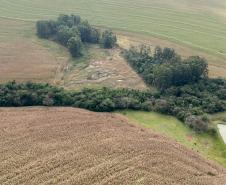 Operação do IAT identifica 17 hectares de desmatamento ilegal na região Oeste