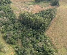 Operação do IAT identifica 17 hectares de desmatamento ilegal na região Oeste