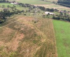 Operação do IAT identifica 17 hectares de desmatamento ilegal na região Oeste