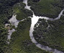 Foto aérea de rio cercado por vegetação