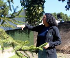 VITORIA FONSECA ENGENHEIRA FLORESTAL