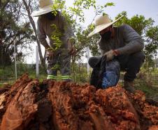 Trabalhadores mexendo na terra