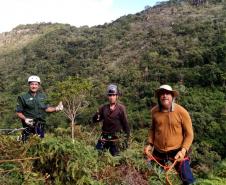 Dia do Voluntariado: IAT disponibiliza três programas para quem quer ajudar a cuidar do meio ambiente