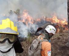 Curso de Capacitação em Brigadistas Civis Voluntários em Unidades de Conservação está com vagas abertas até 4 de agosto