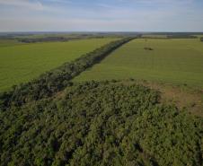 Foto de corredor verde