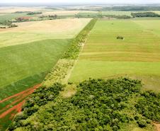 Foto de corredor verde