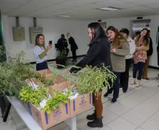 Fila para recepção de mudas