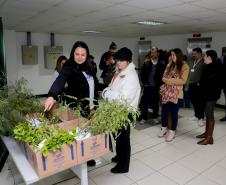 Fila para recepção de mudas