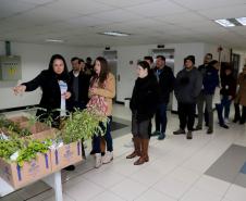 Fila para recepção de mudas