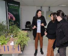 Representante do IAT explicando sobre o florescer a duas civis