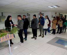 Fila para recepção de mudas