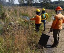 Brigadistas indígenas ajudam a conservar o patrimônio natural do Paraná