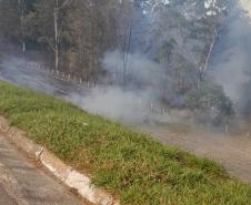 Brigadistas indígenas ajudam a conservar o patrimônio natural do Paraná