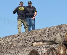 Foto de fiscais sobre área desmatada