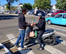 Representante do IAT entregando mudas a um civil em sua motocicleta. 