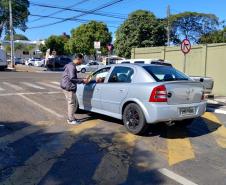 Representante do IAT entregando mudas a um civil em seu carro.