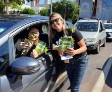 Representante do IAT entregando mudas a um civil em seu carro.