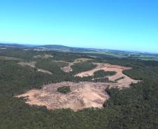 Sétima edição da Operação Mata Atlântica pretende vistoriar cerca de 1 mil hectares no Paraná.