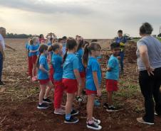 Crianças de escola municipal visitando um viveiro