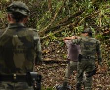 Sétima edição da Operação Mata Atlântica pretende vistoriar cerca de 1 mil hectares no Paraná.