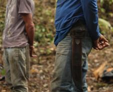 Sétima edição da Operação Mata Atlântica pretende vistoriar cerca de 1 mil hectares no Paraná.