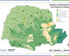 Mapa das regiões fitogeográficas do Paraná