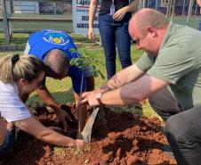 Técnicos dos viveiros plantando