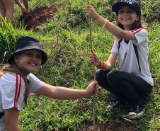 Duas crianças segurando uma muda recém plantada