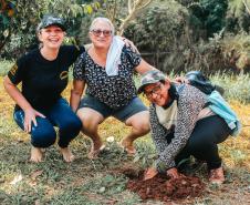 Três técnicos do IAT plantando uma muda