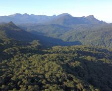 Com áreas verdes, 98 cidades do Paraná têm grande controle sobre emissões de carbono