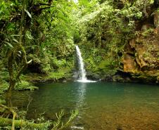 Pequena cachoeira situada em meio a vegetação paranaense