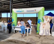 Em quatro meses, CastraPet Paraná atinge 63% dos municípios cadastrados no projeto neste ano