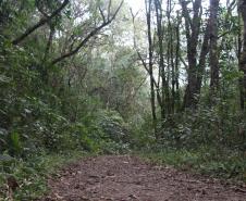 Por precaução em razão da chuva, três parques da região de Curitiba ficarão fechados neste fim de semana.