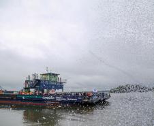 Bote em Matinhos