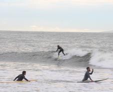 Surfistas surfando