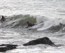 Surfistas surfando