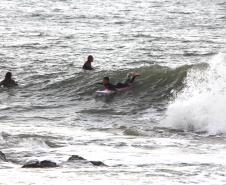 Surfistas surfando