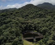 Desmatamento ilegal da Mata Atlântica reduz 64% no Paraná em 2023