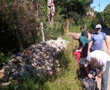 Visitantes contribuindo para o pedrágio