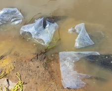 ALEVINOS SOLTOS EM LAGO