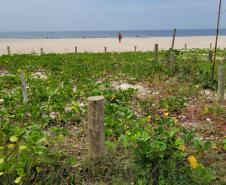 Praia de Matinhos