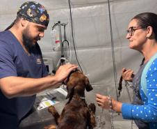 Pet recebendo cuidados de integrante do Castrapet em frente a sua dona