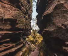 Foto de parque estadual