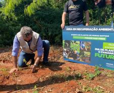 Foto de servidor do IAT plantando mudas