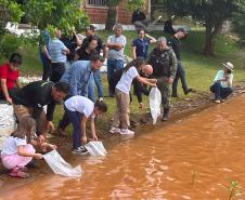 Crianças supervisionadas por adultos soltando os peixes na água