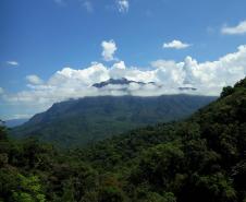 Paisagem de unidade de conservação paranaense