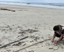 Biologa trabalhando na praia 