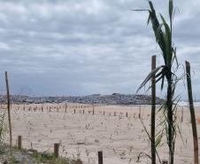 Foto de árvores plantadas na orla